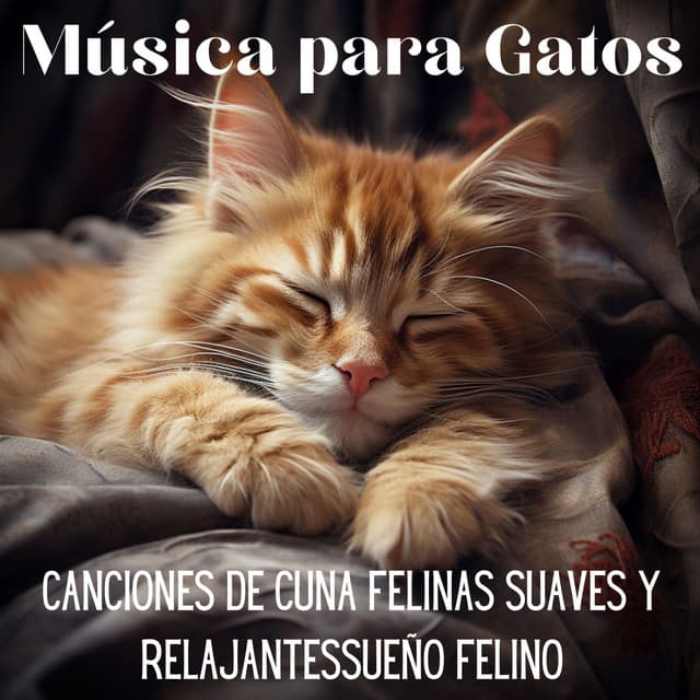 Música para Gatos: Canciones de Cuna Felinas Suaves y Relajantes - Relax My Cat