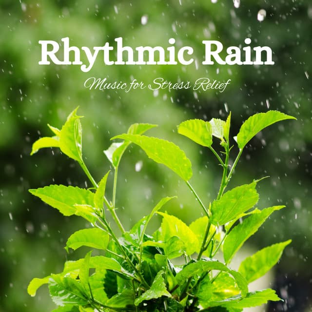 Rhythmic Rain: Music for Stress Relief - White Noise Rain