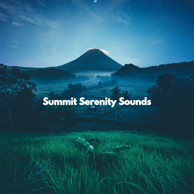 Summit Serenity Sounds - Study Jazz