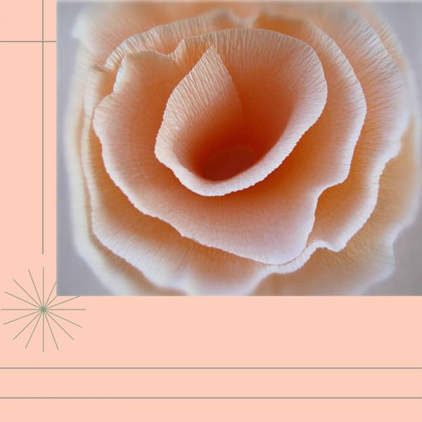 Music for Atmospheric Subjects - Happening Soprano Sax Solo - Brunch Chillout Playlist