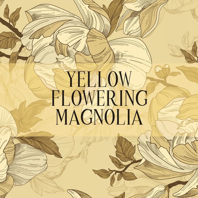 Yellow Flowering Magnolia - Soundscapes!