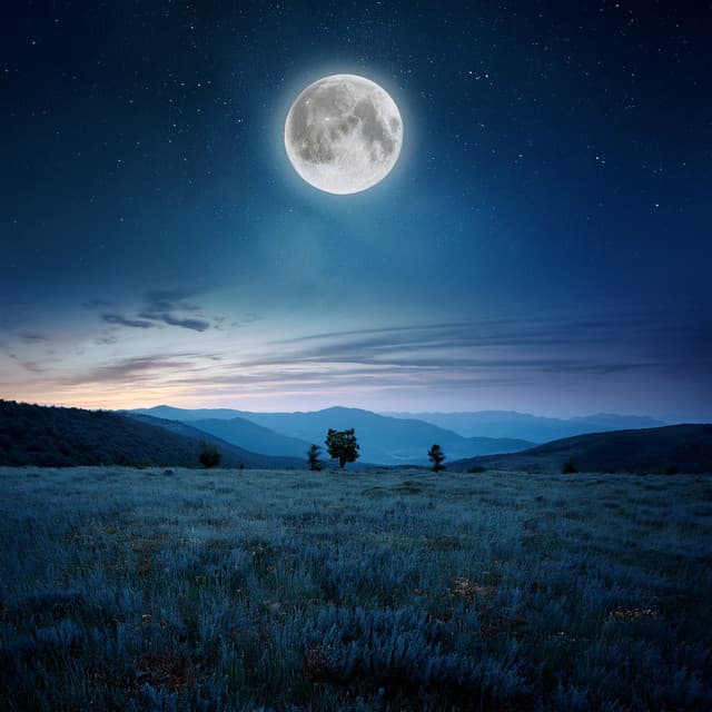 Música Pacífica Para La Noche: Melodías Serenas - Serenidad en la calma total