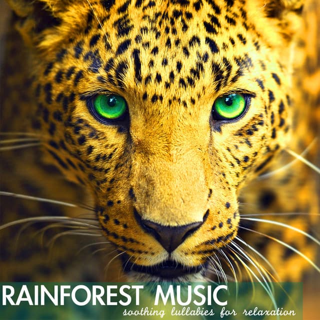 Rainforest Music - Soothing Lullabies for Relaxation, Relaxing Sounds of Nature Background - Lucy Blacktop