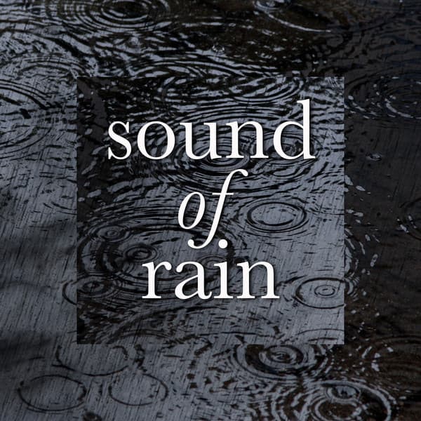 Sound of Rain - Natural Soundscape Society