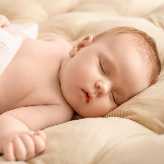Nature's Bedtime Rituals: Enriching Baby Sleep with Birds and Delta Waves - Bird Robin