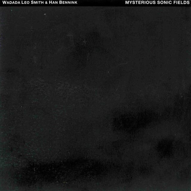 Mysterious Sonic Fields - Wadada Leo Smith