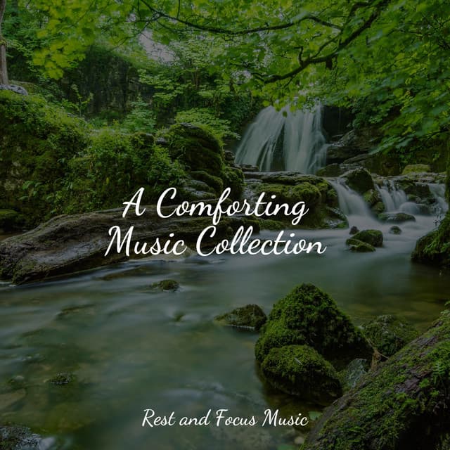 A Comforting Music Collection - Preschool Kids