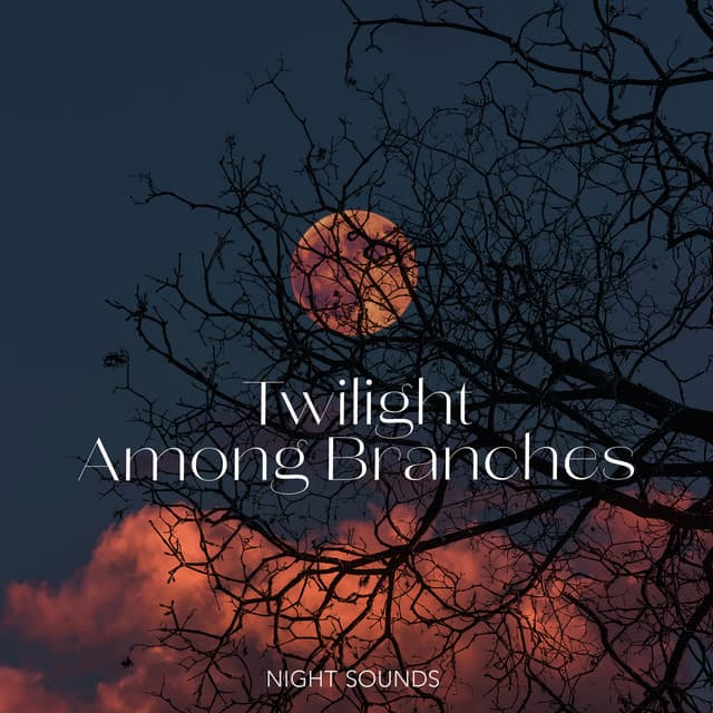 Twilight Among Branches - Night Sounds