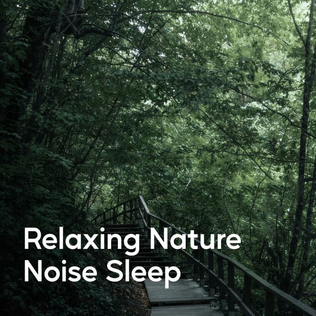 Relaxing Nature Noise Sleep - Exclusive Nature