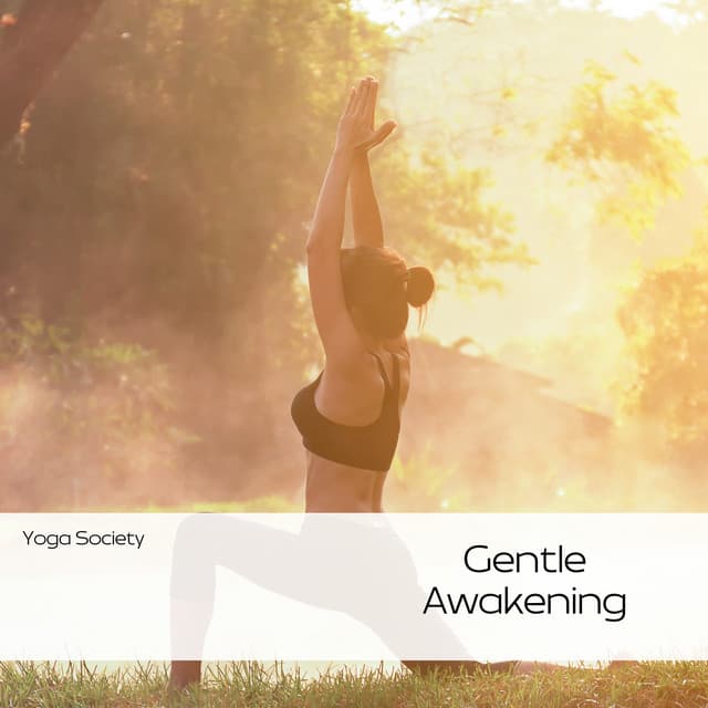 Gentle Awakening: Soft Yoga Beginnings - Yoga Society