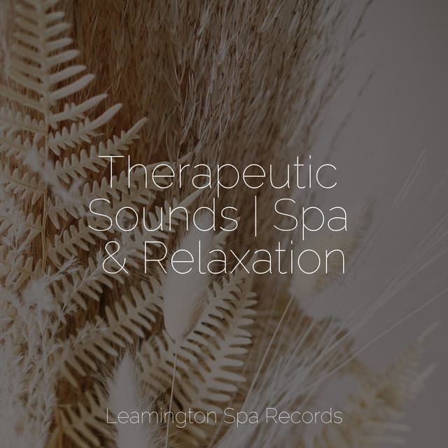 Therapeutic Sounds | Spa & Relaxation - Music to Relax in Free Time
