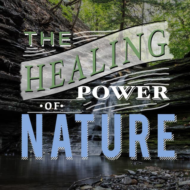 The Healing Power of Nature - The Healing Sounds of Nature