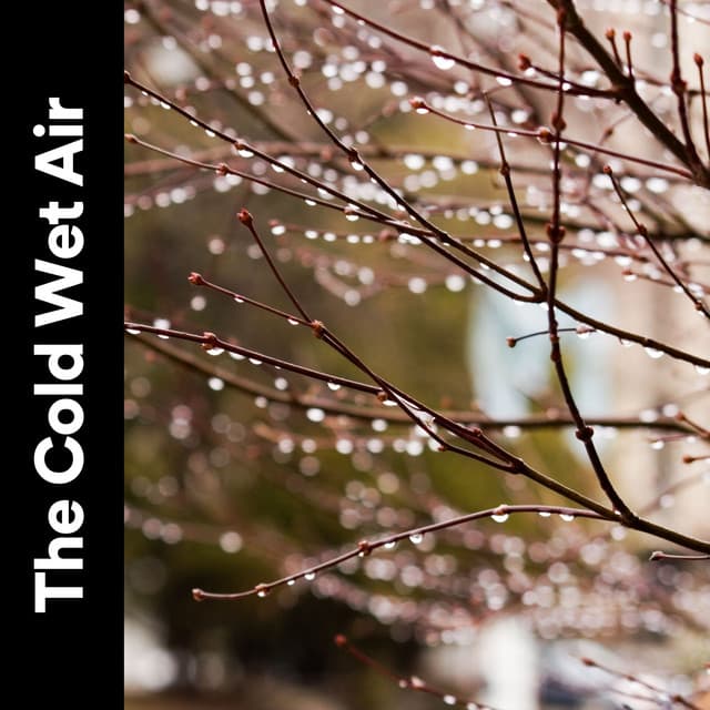 The Cold Wet Air - Baby Sleep Rain