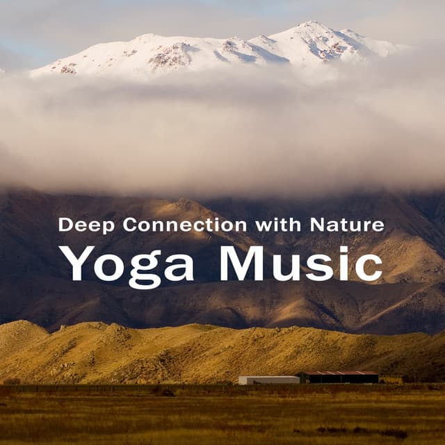 Practice in a Deep Connection with Nature. Yoga Music - Special Yoga Creator
