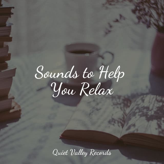 Sounds to Help You Relax - Especialistas de Musica para Dormir