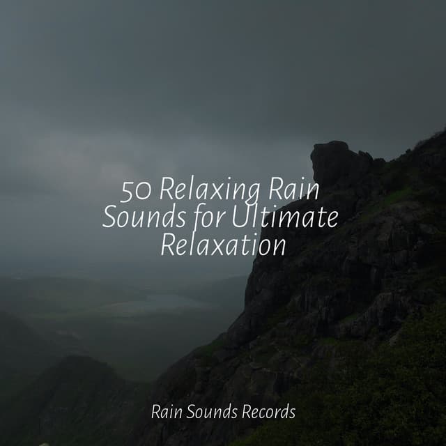50 Relaxing Rain Sounds for Ultimate Relaxation - Rain Sound Studio
