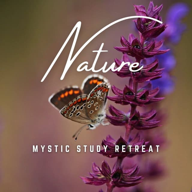 Mystic Study Retreat: Mindful Melodies - Classical Music For Studying