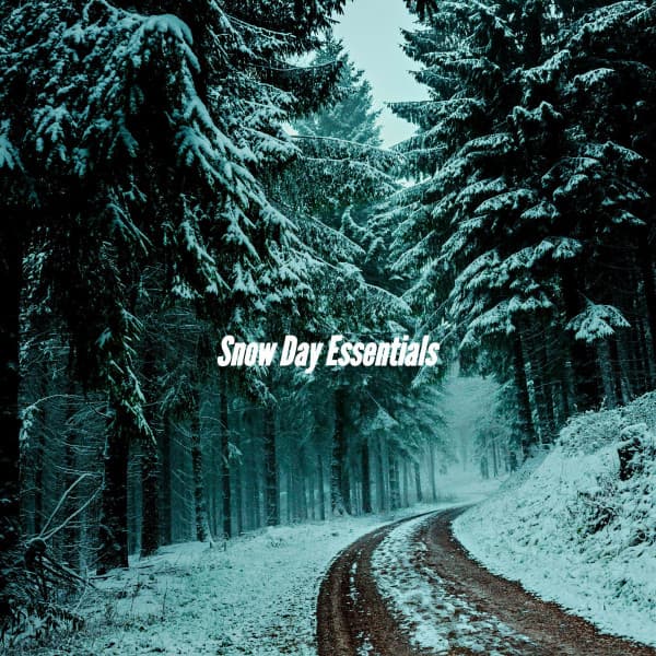 Snow Day Essentials - Musica da Leggere