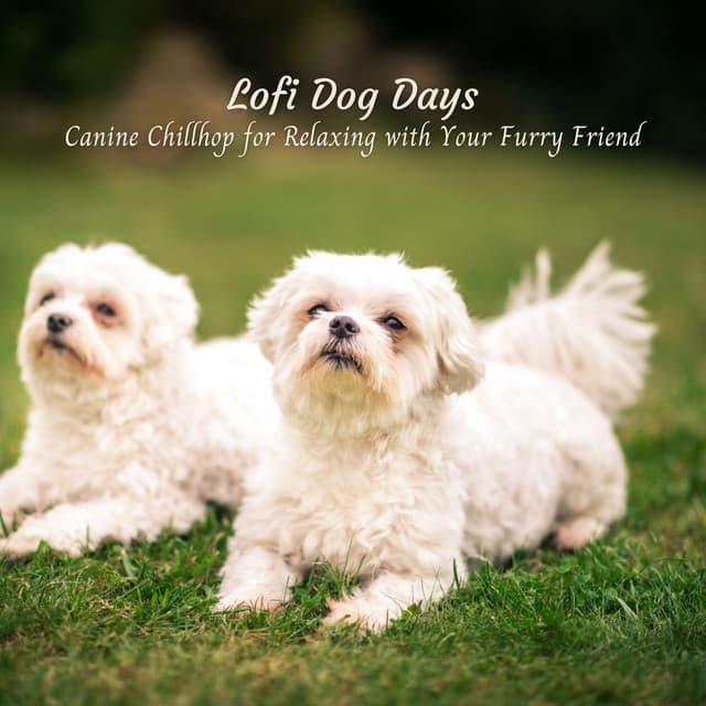 Lofi Dog Days: Canine Chillhop for Relaxing with Your Furry Friend - Lofi Nation