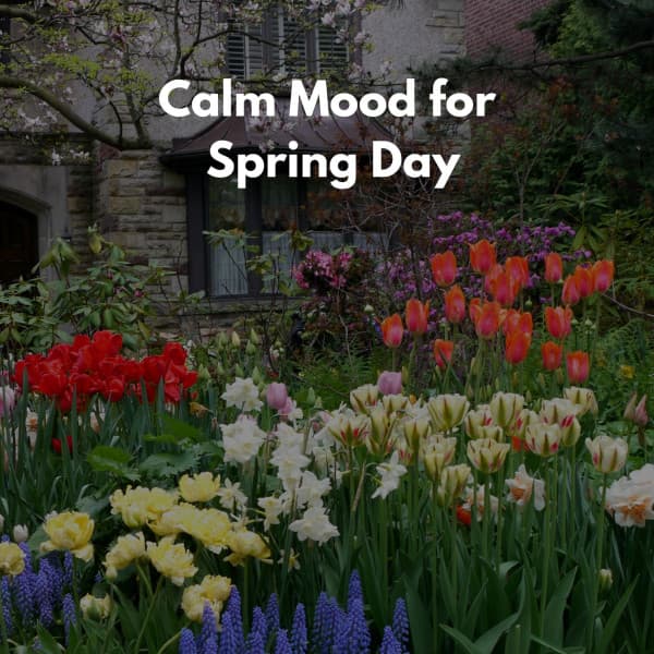 The Spring Yard - Evening Chillout Playlist