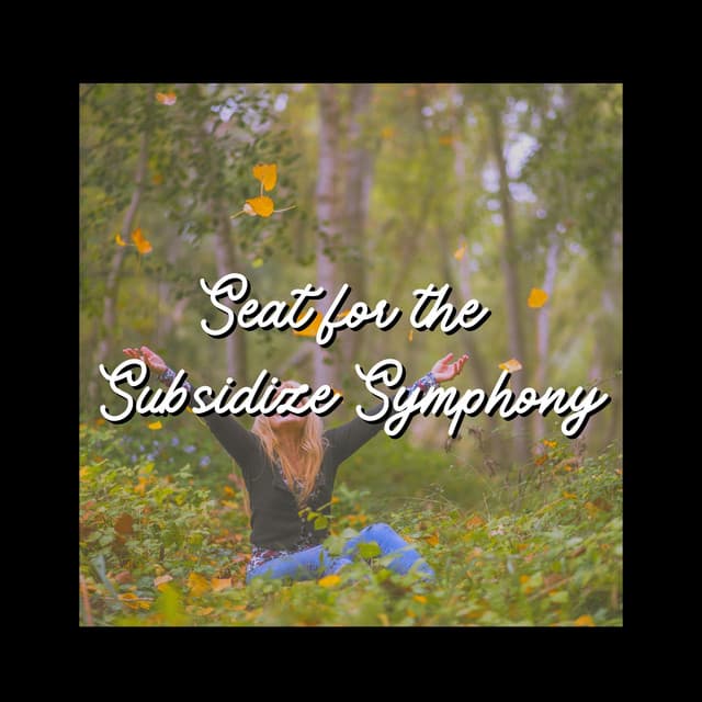 Seat for the Subsidize Symphony - World Music For The New Age