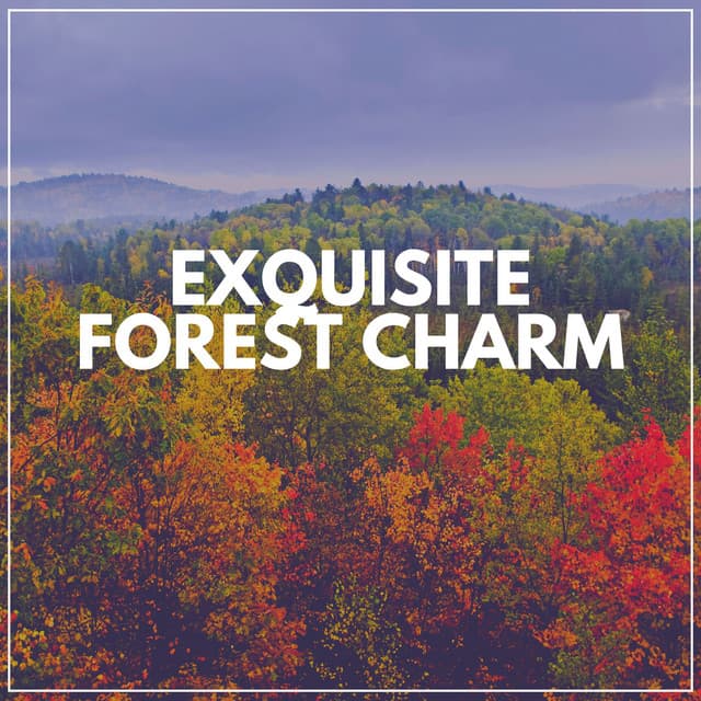 Exquisite Forest Charm - Weather and Nature Recordings