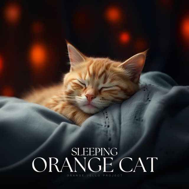 Sleeping Orange Cat - Cat Music