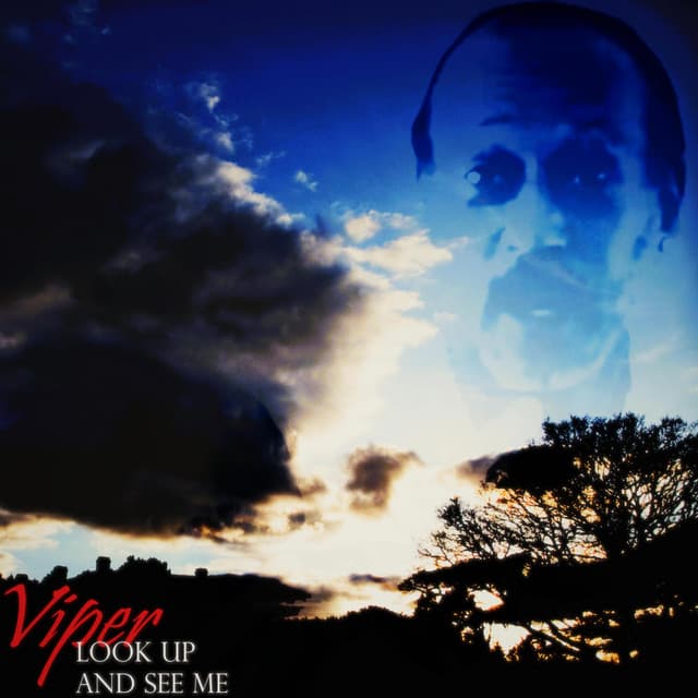 Look Up And See Me - Viper