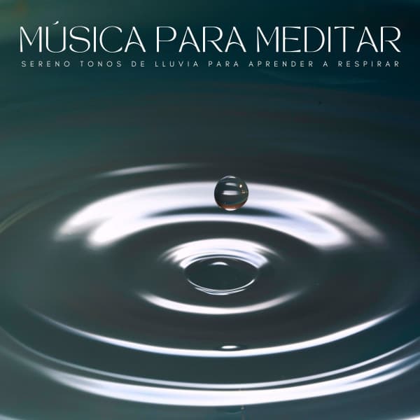 Música Para Meditar: Sereno Tonos De Lluvia Para Aprender A Respirar - Meditacion Budista Maestros