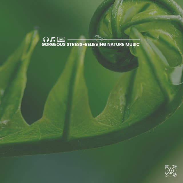 Gorgeous Stress-Relieving Nature Music - Island Nature Sounds