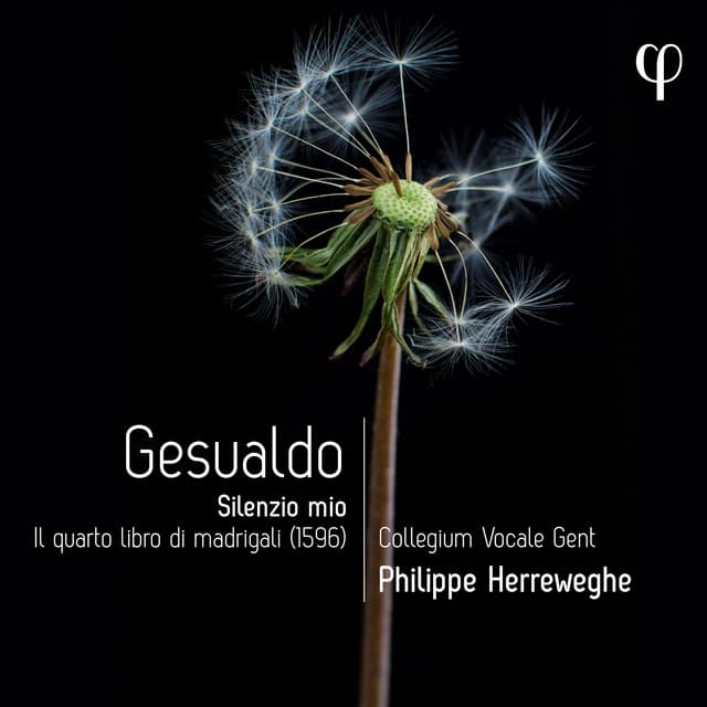 Gesualdo: Silenzio mio. Il quarto libro di madrigali - Carlo Gesualdo