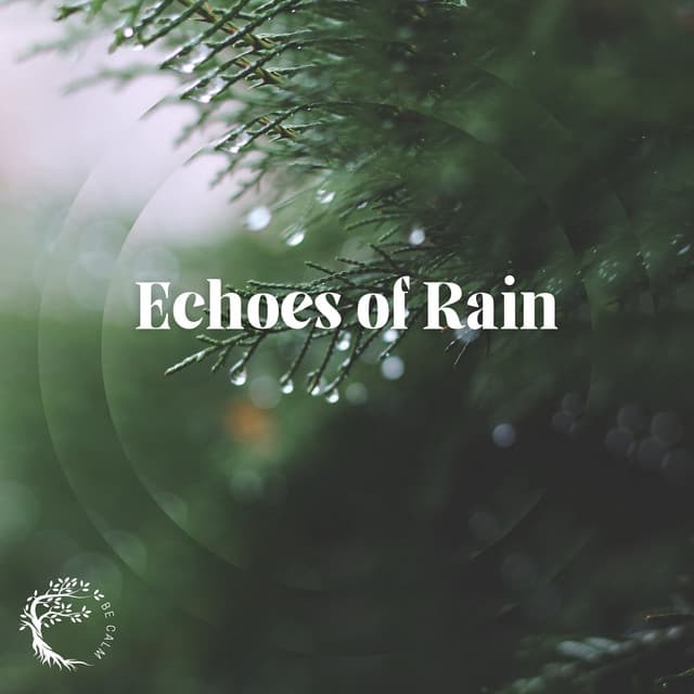 Echoes of Rain - Balsa Rain