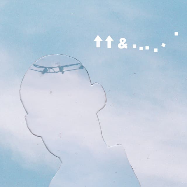 Up Up and Astray - F.S.Blumm