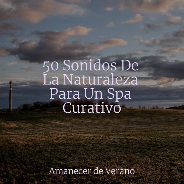 50 Sonidos De La Naturaleza Para Un Spa Curativo - Musica Relajante & Yoga