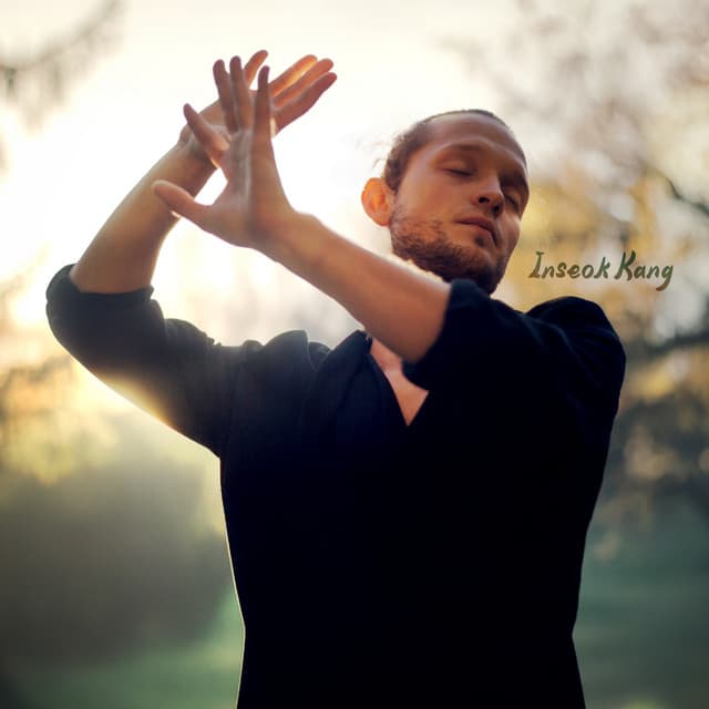 Tai Chi Mantras - Inseok Kang