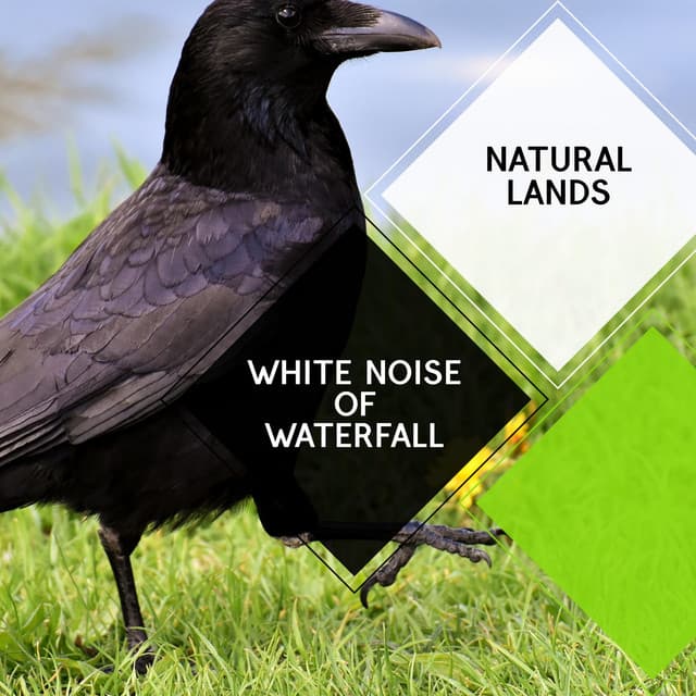 White Noise of Waterfall - Natural Lands - Sleepy Times