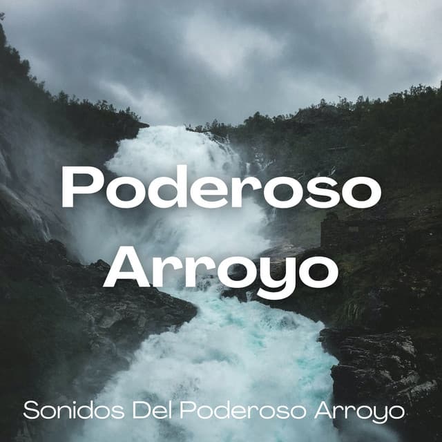Sonidos Del Poderoso Arroyo - Resplandor de la naturaleza