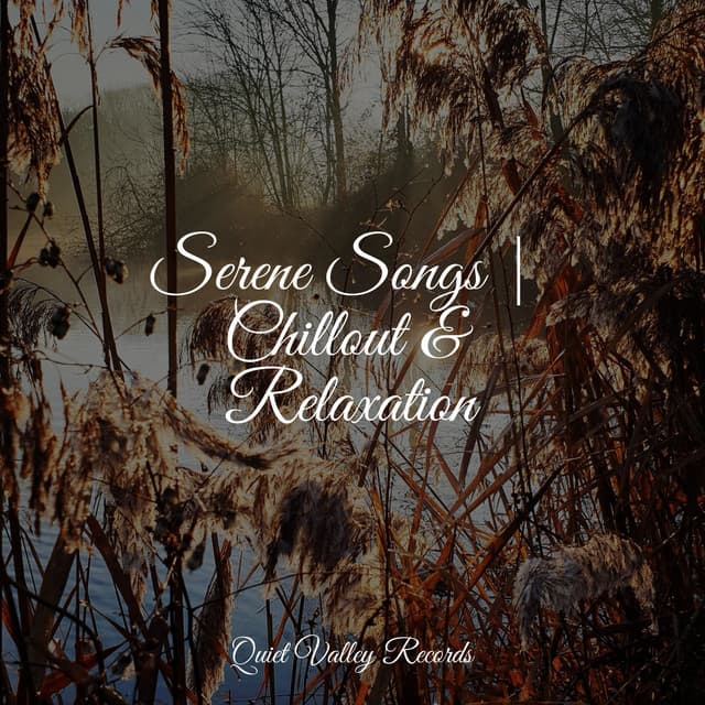 Serene Songs | Chillout & Relaxation - Natureza Musica Bem-Estar Academia
