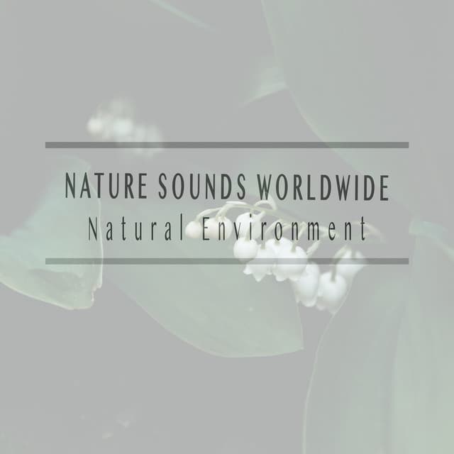 Natural Environment - Nature Sounds Worldwide
