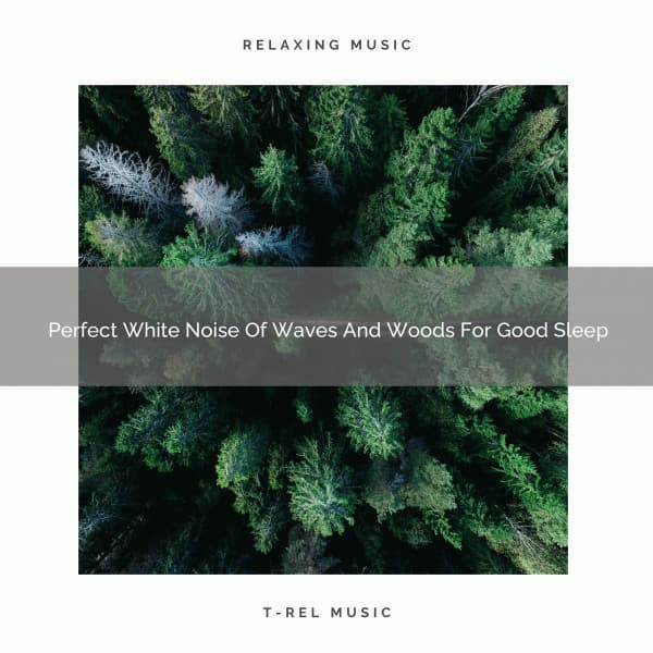 Perfect White Noise Of Waves And Woods For Good Sleep - Sleep Dimension