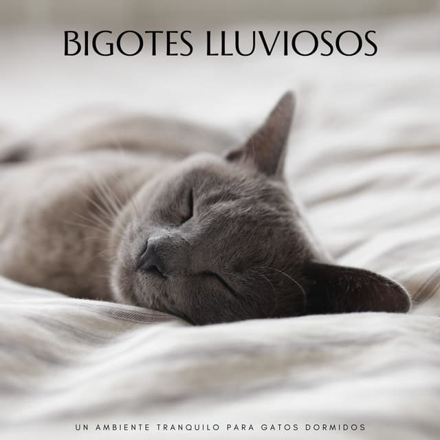Bigotes Lluviosos: Un Ambiente Tranquilo Para Gatos Dormidos - Sonidos de Lluvia 24H