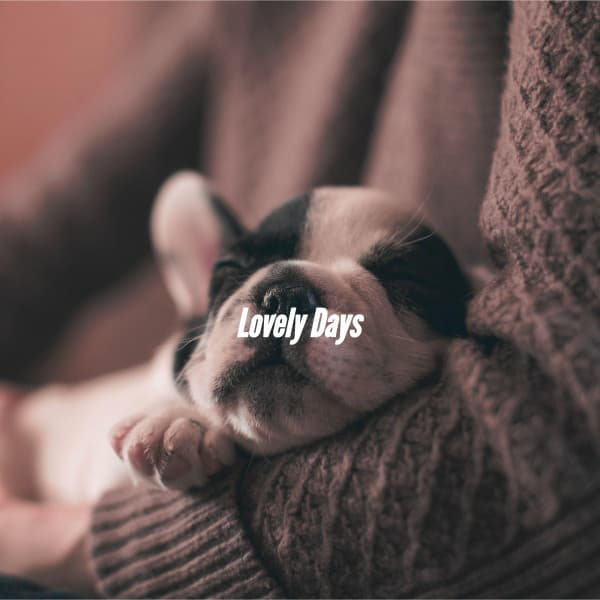 Lovely Days - Rainy Day Jazz