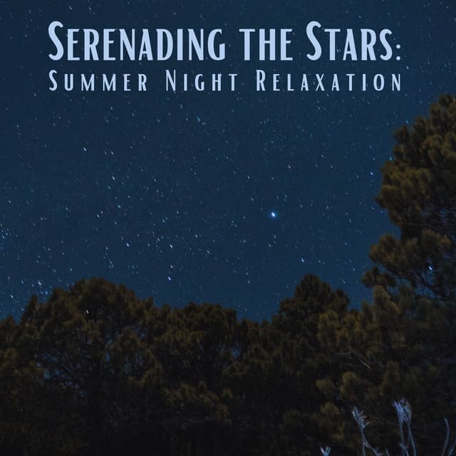 Serenading the Stars: Summer Night Relaxation" - Nature Is Calling