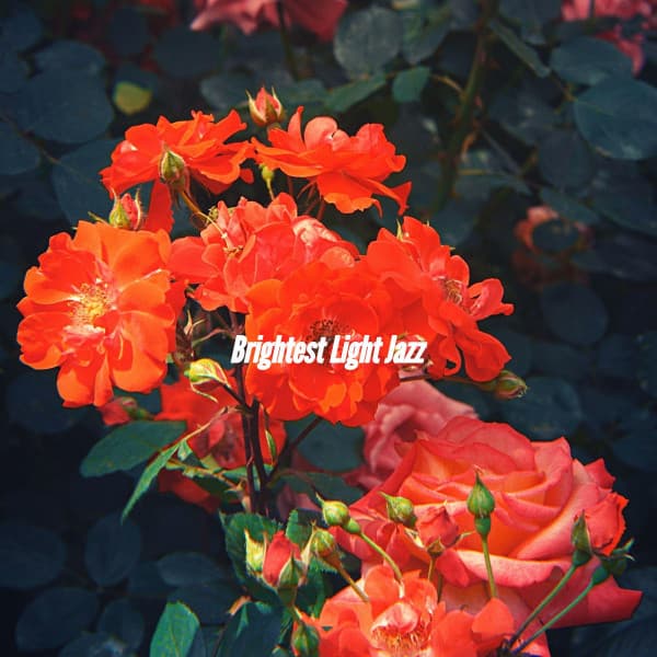 Brightest Light Jazz - Cafe Music Jazz Channel
