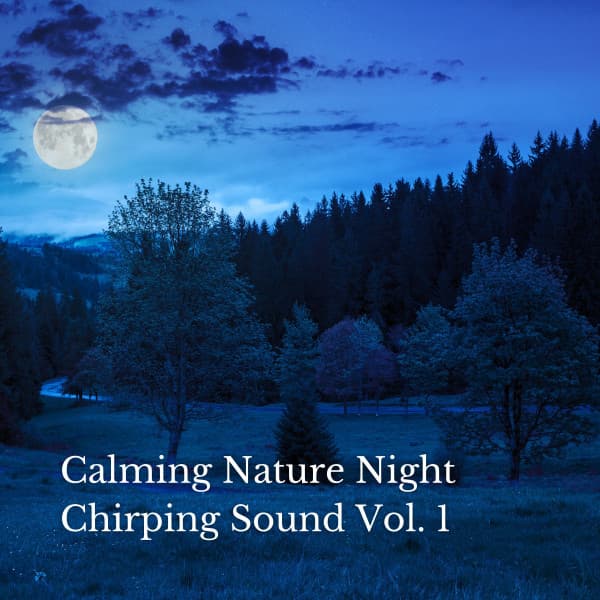 Calming Nature Night Chirping Sound Vol. 1 - Sleep Repeat