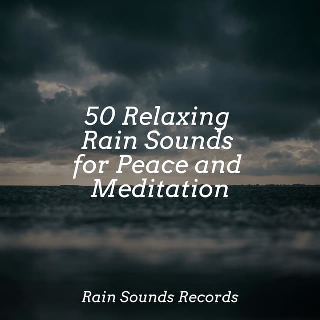 50 Relaxing Rain Sounds for Peace and Meditation - Rain For Deep Sleep