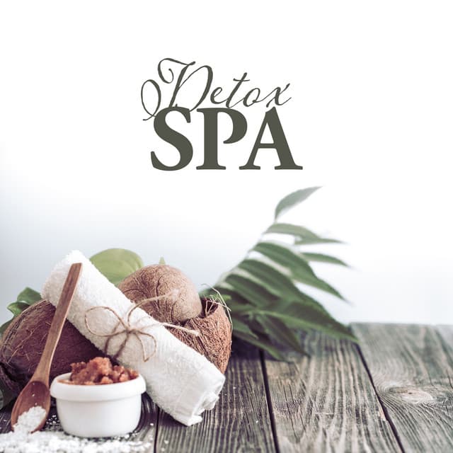 Detox SPA: Music for Spa & Wellness, Beauty Treatments, Facial Rituals - Wellness Spa Oasis