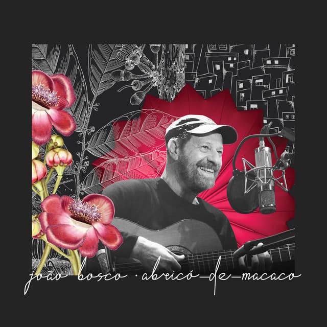 Abricó-de-Macaco - João Bosco