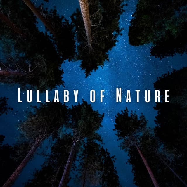 Lullaby of Nature: Sleep Deeply with Chill Soundscapes - Ambient Nature project