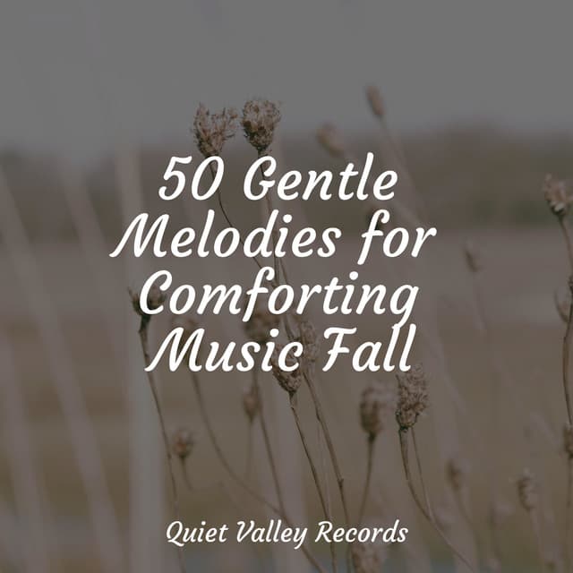 50 Gentle Melodies for Comforting Music Fall - A Sudden Rainstorm